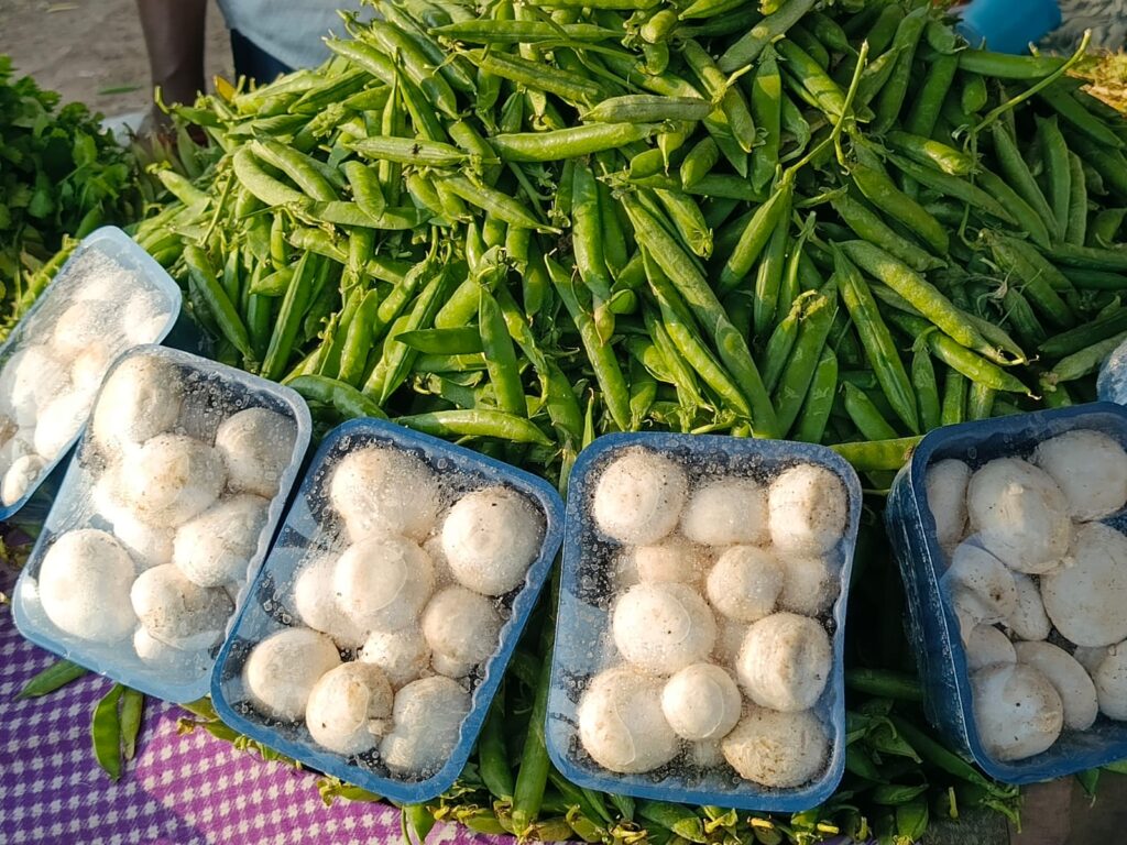 vipin vegetable shop nawada