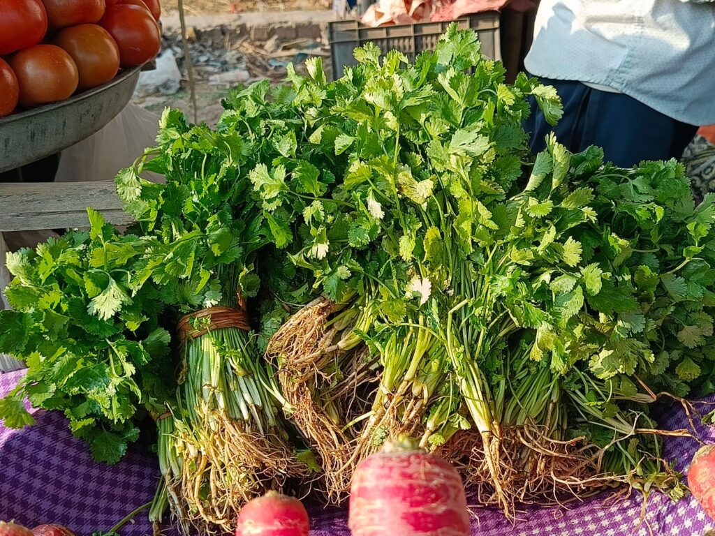 vipin vegetable shop nawada