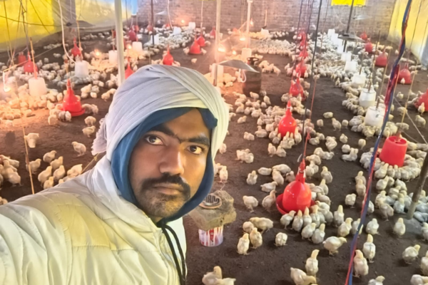 Himanshu Poultry Farm Warisaliganj fresh chicken supply
