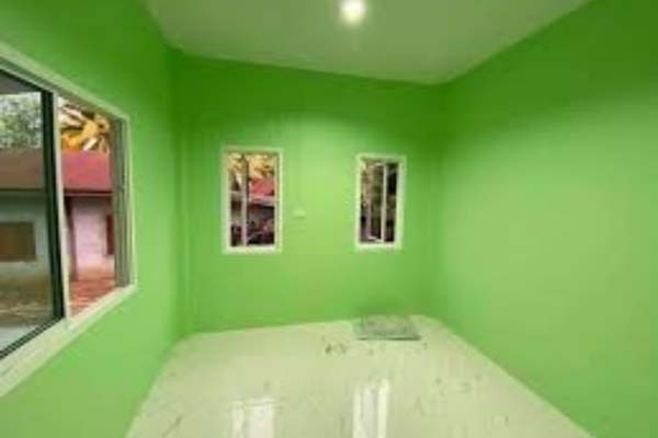 Arvind Painter Service Nawada house painting work
