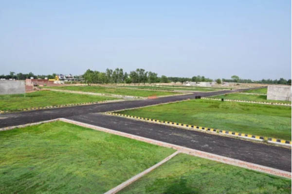 Kamal Gupta Property Dealer Madhubani land and property service