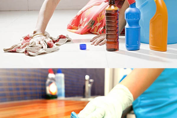 Reshmi Maid Service Warisaliganj